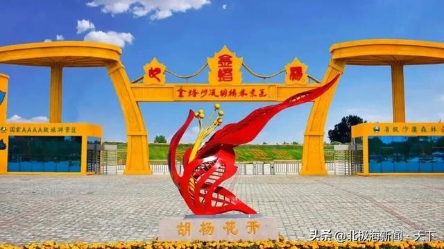 甘肃‖金塔胡杨林，秋韵漫时光