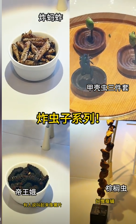 博主在瑞典逛 恶心食物博物馆，燕窝 猪脑就忍了，看到皮蛋绷不住了