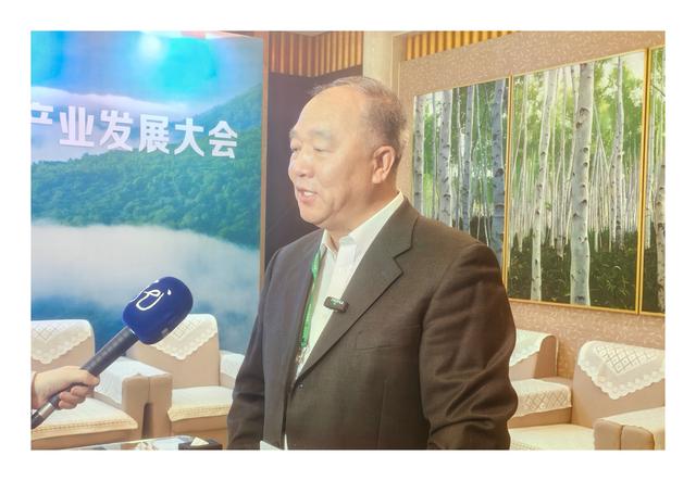 专访崔玉范：伊春，如何将“深呼吸 深睡眠 深度游”做成大产业？