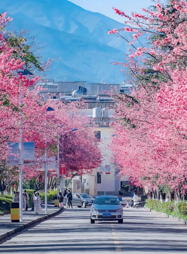 大理 ⇌太原 当凉鸡米线遇见打卤面