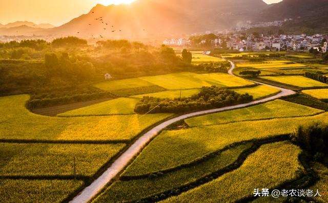 相约秋天：老人“游山”，老玩法新花样，收获不一样的惊喜