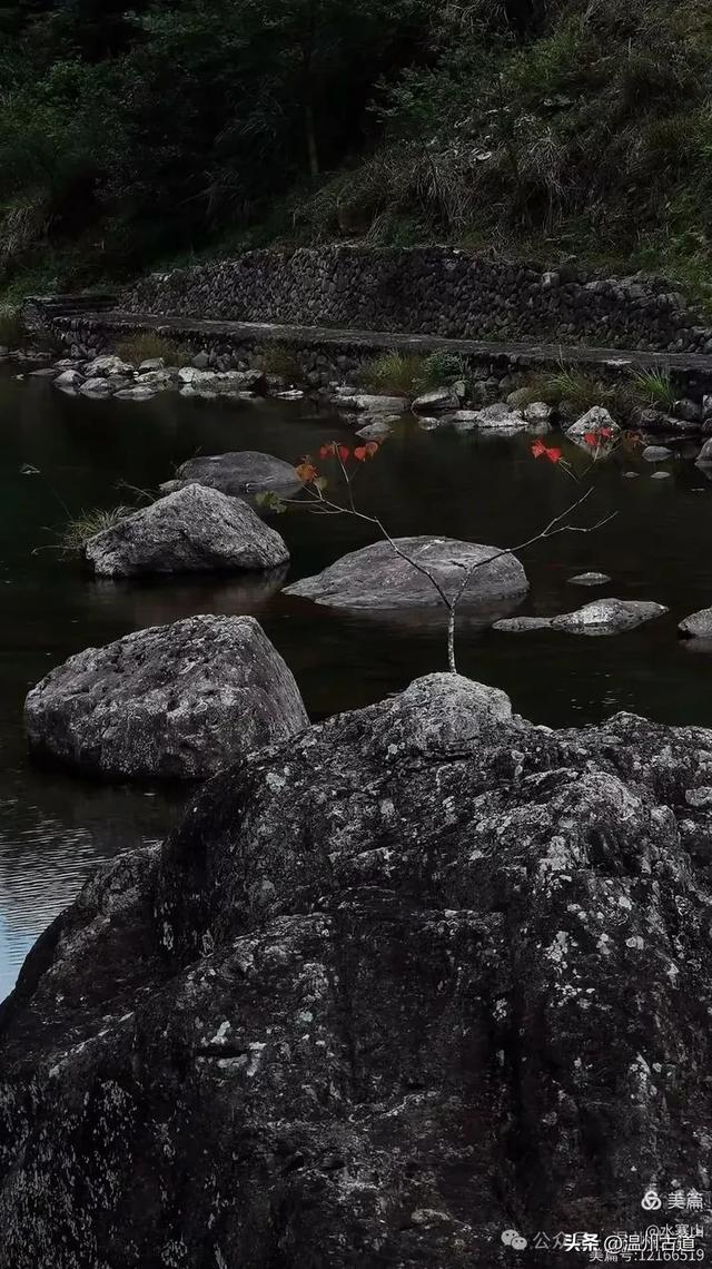 温州大山深处的这个千年遗世古村落你可去过?