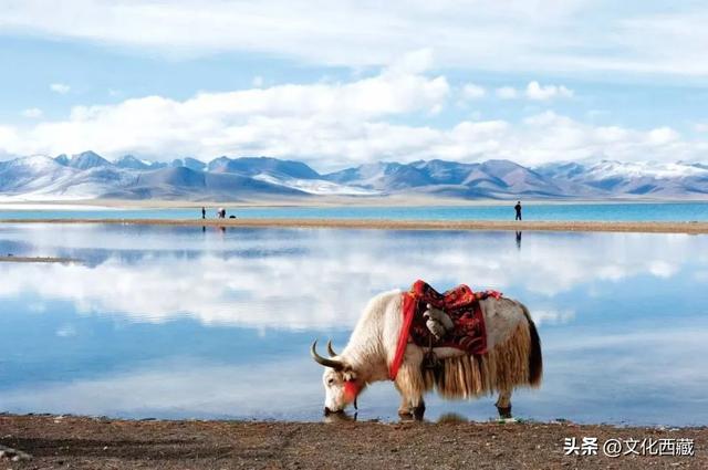 盘点西藏最美九大湖泊！全都去过的，此生无悔！
