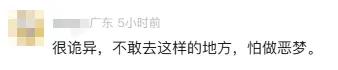 瘆得慌？云南“荒野之国”争议作品拆除，网友评价两极化