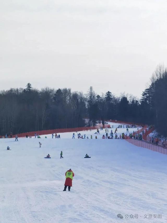 听说在安图滑雪，摔跤是种享受？这粉雪绝了，滑一次就上瘾！