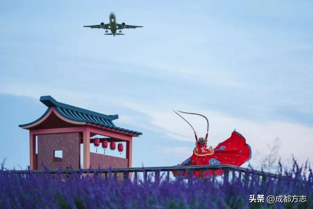 一眼惊艳！成都“空中丝路”美出圈→