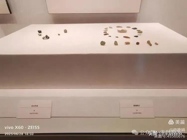 探秘丝路明珠,邂逅巴楚千年文明——走进新疆巴楚博物馆|申艳娟