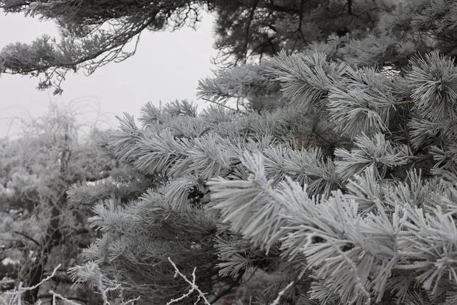 接下来的淄博，「冬日隐藏副本」藏不住了！