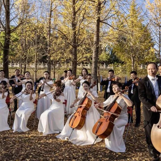 三场大戏+五大活动，宁强元旦狂欢倒计时！