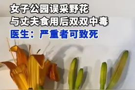 正大量上市！深圳人注意：小心中毒！越新鲜越危险图片