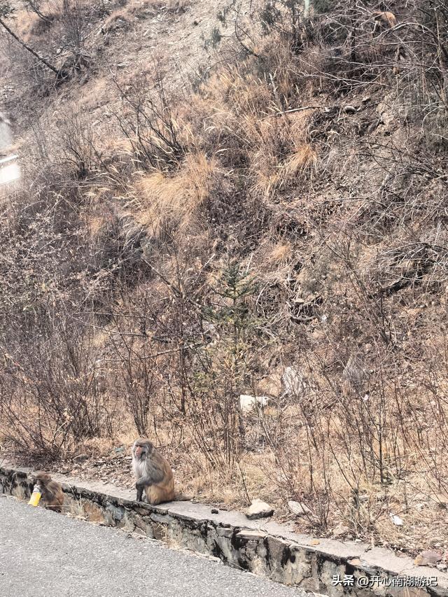 喀什经317到成都，色达县-都江堰，甲居藏寨、理小路、桃坪羌寨