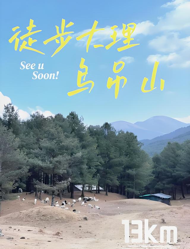 想去洱源鸟吊山徒步官方最新回应来了鸟吊山自然保护区核心区禁入