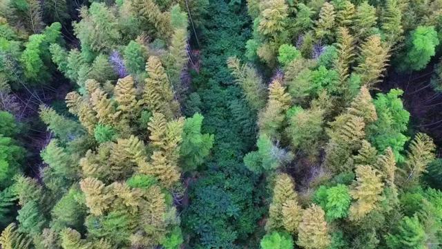 我说白了，萧山你是不是有点过分了！