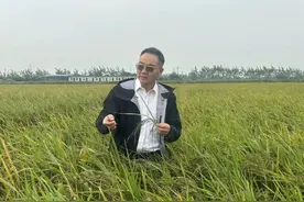 张启发：中国推广转基因的领军人被骂，转基因的争议为何这么大？图片