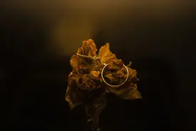 七夕｜人间有爱，爱在朝夕图片