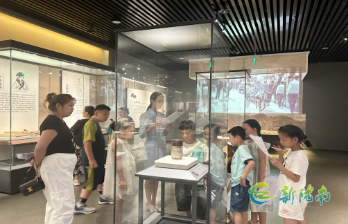 市博物馆暑期推出特色展览 丰富青少年文化生活