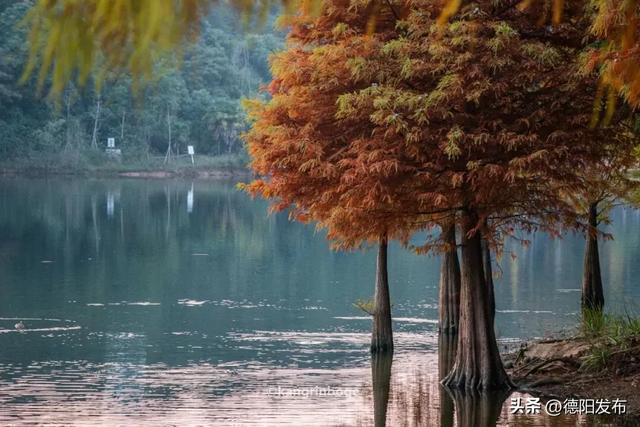 最新实拍！德阳东湖山都美成啥样了啊？太夸张了