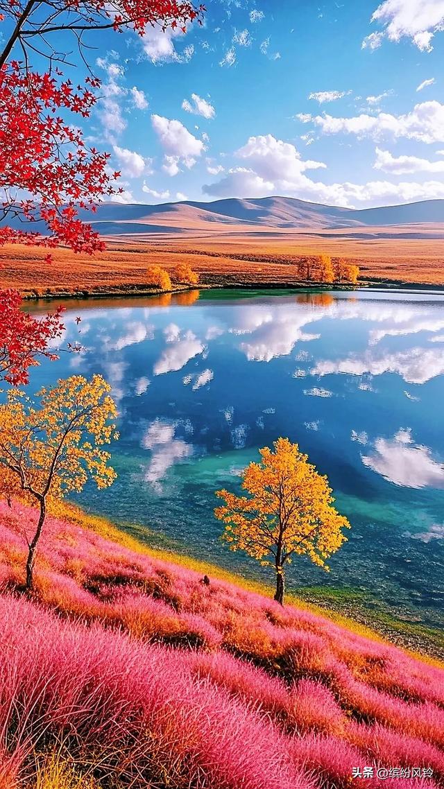 秋把山野调得浓烈