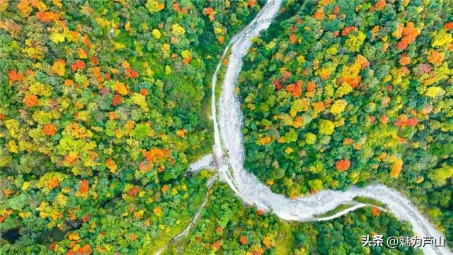 回眸“十四五”丨文旅融合风帆劲 绘就发展新蓝图