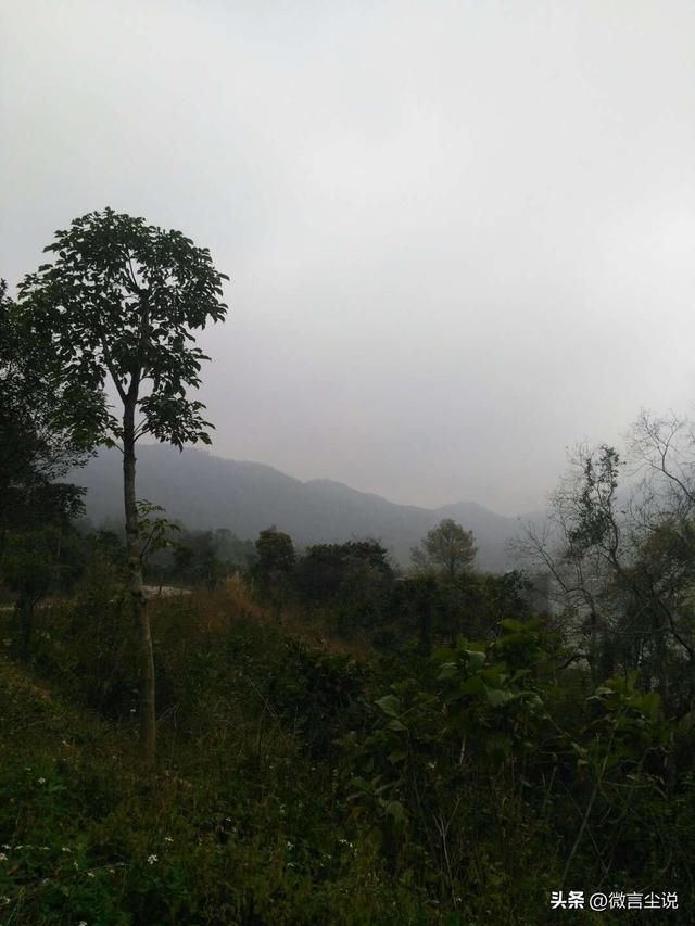 我在广东石菉铜矿下岗后，默默地承受着生活的磨砺