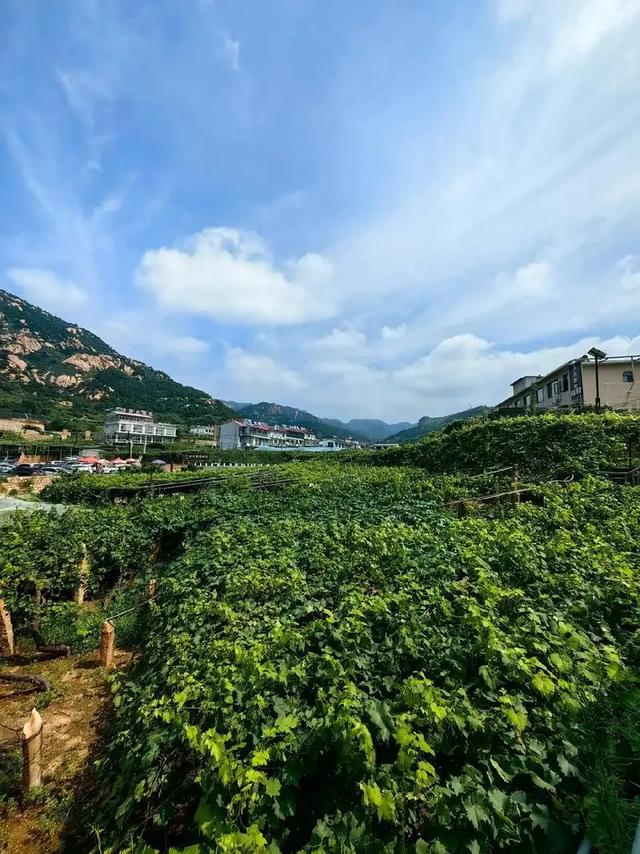 新疆18个5A景区全解析，北疆南疆自驾路线+小众玩法一键get