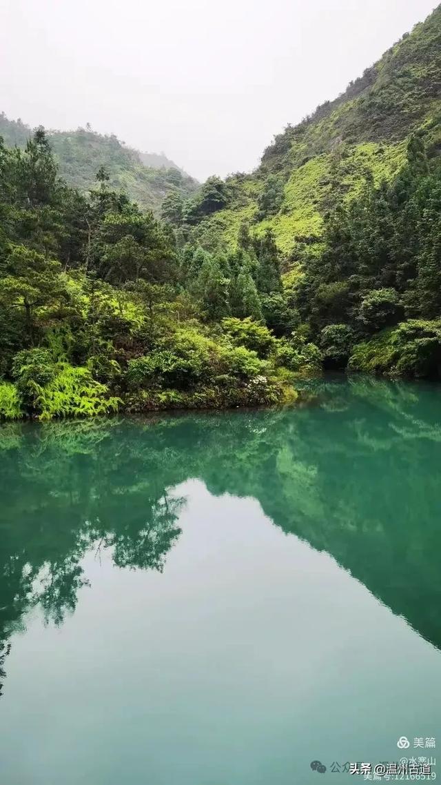这座温州最具桃源的古村，避暑佳地，你可去过？