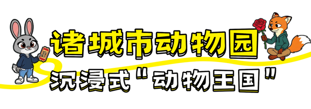 潍坊人有自己的“疯狂动物城”！冲！冲！冲！