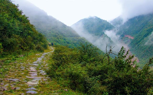 散文 | 梁 平：遥远的哀牢山