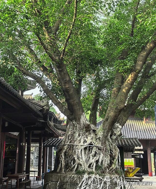 四川广汉第一大寺庙，清幽静谧，国宝文物让我惊叹，不要门票
