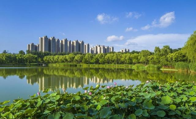 广州之后，广东的下一个省会，佛山为什么是最优选择？