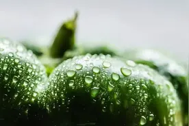 激活免疫力的「维C」，每天一个青椒就能补足图片