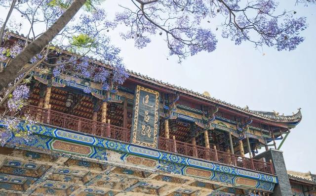 比大理浪漫！比昆明更近！高铁直达阳光小城，2万株蓝花楹美疯！观海登山，美食吃到爽！