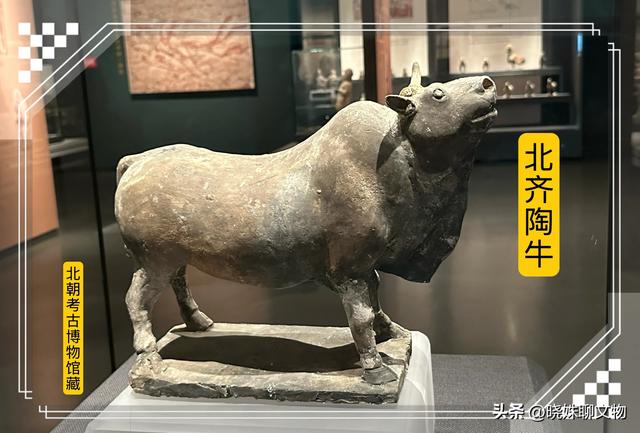 一座县城博物馆，不仅是全国首家，而且还是全国唯一