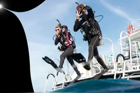 考证成“瘾”？图片