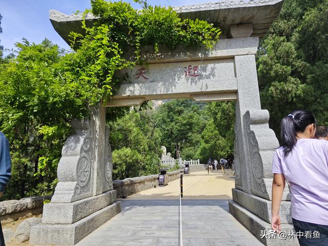 徒步登泰山之二——又是3小时，从中天门到南天门，不累！