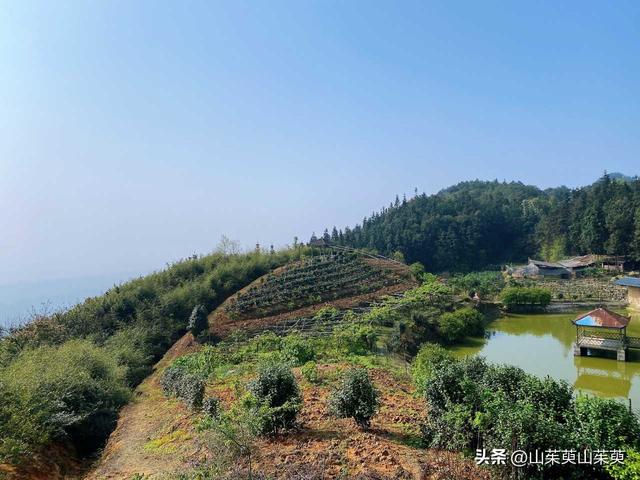 2023年春重庆探亲游（上篇）