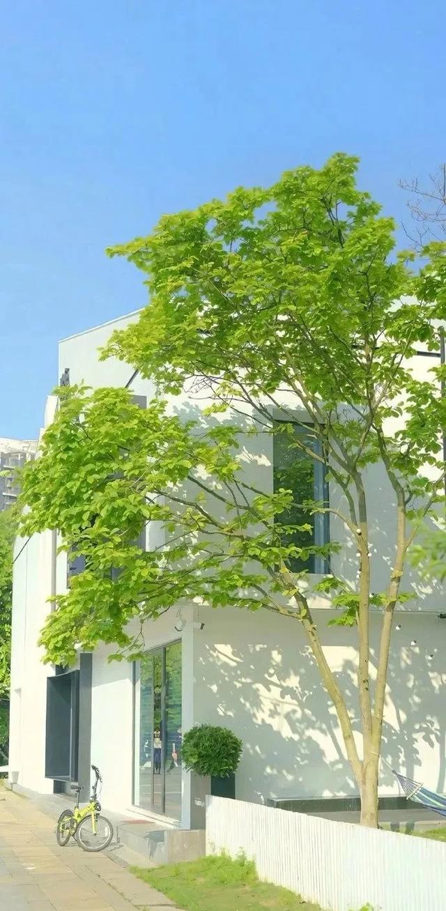 #美景 #自然美