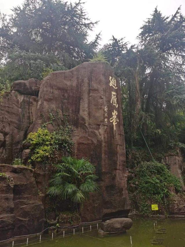 探幽怀旧，真的不用去远方:老校园与老公园都可看昔日时光