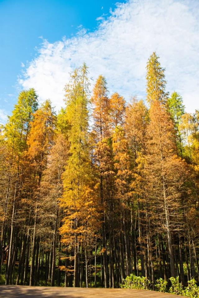 如何把1天过成N天？跟着韶关这条线路解锁瑶乡浓烈的快乐