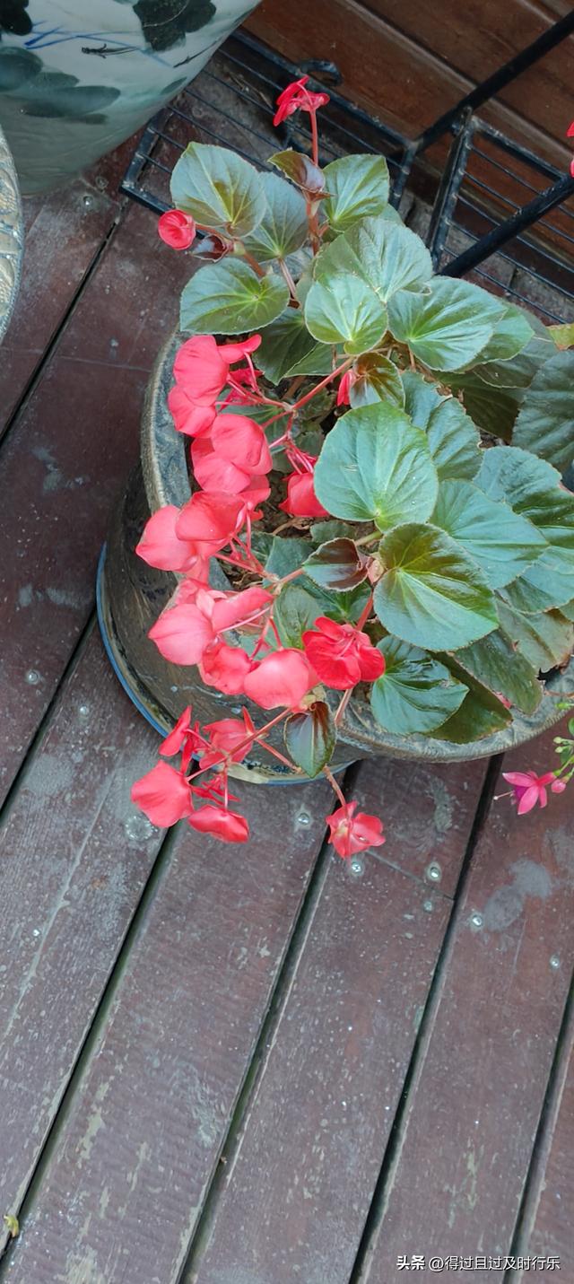 庐山游记-01来庐山，心悠然