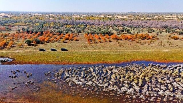 内蒙古杭锦旗：湿地秋景惹人醉