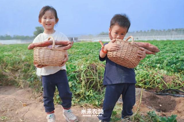 未央“双节”文旅活动好戏连台，等您来打卡！