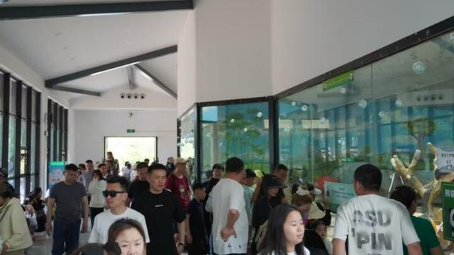 人气旺！鞍山夏日旅游市场热力全开