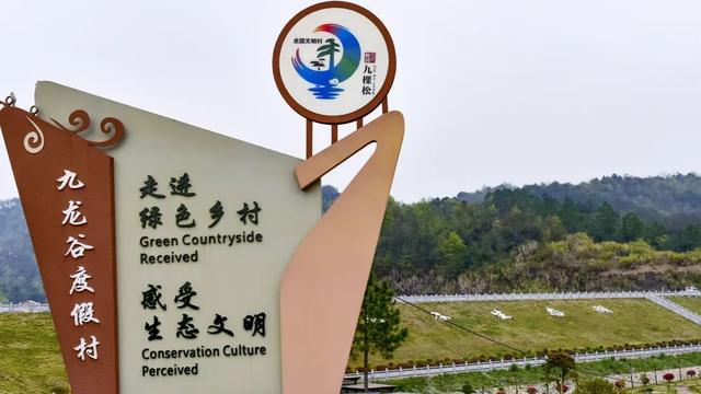 你不知道的九棵松——藏在蕲春的生态秘境