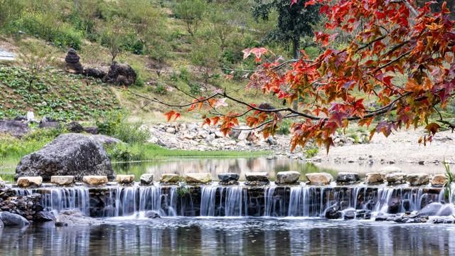 广东10城深秋限定！红叶银杏+古寺，小众路线美到刷爆朋友圈！