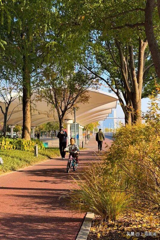 最美的季节！一起来静谧斑斓的黄浦滨江晨跑吧！