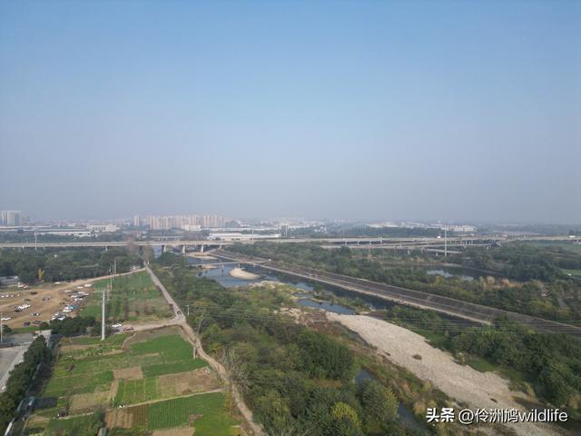 四川行(75)广汉②金雁湖公园·黑塔街·龙居寺