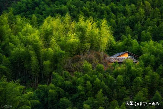 鲁智深只知倒拔垂柳，这野竹林非野猪林，江南七怪：难怪七贤喜欢