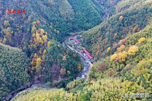 那山那水那红叶，你一定没有见过的秋日美景