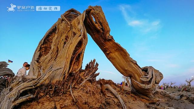 三千年等待,只为这20天的秋日灿烂,人生建议:一定要去看!